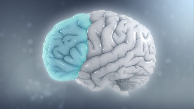 Adults with ADHD lose nearly a decade of life