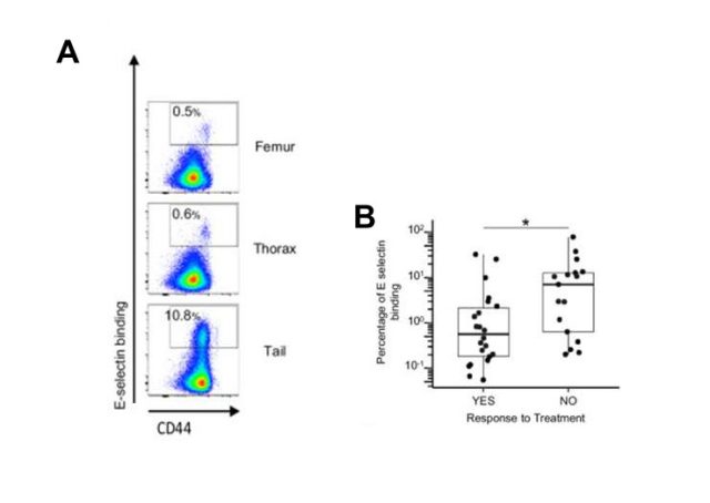 Biomarkers