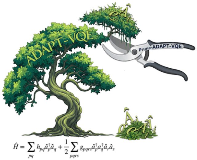Pruning the quantum jungle