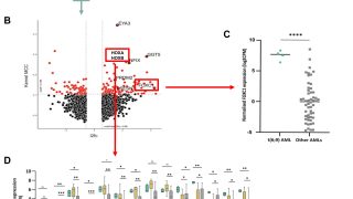 DEK::NUP214 acts as an XPO1-dependent transcriptional activator of essential leukemia genes