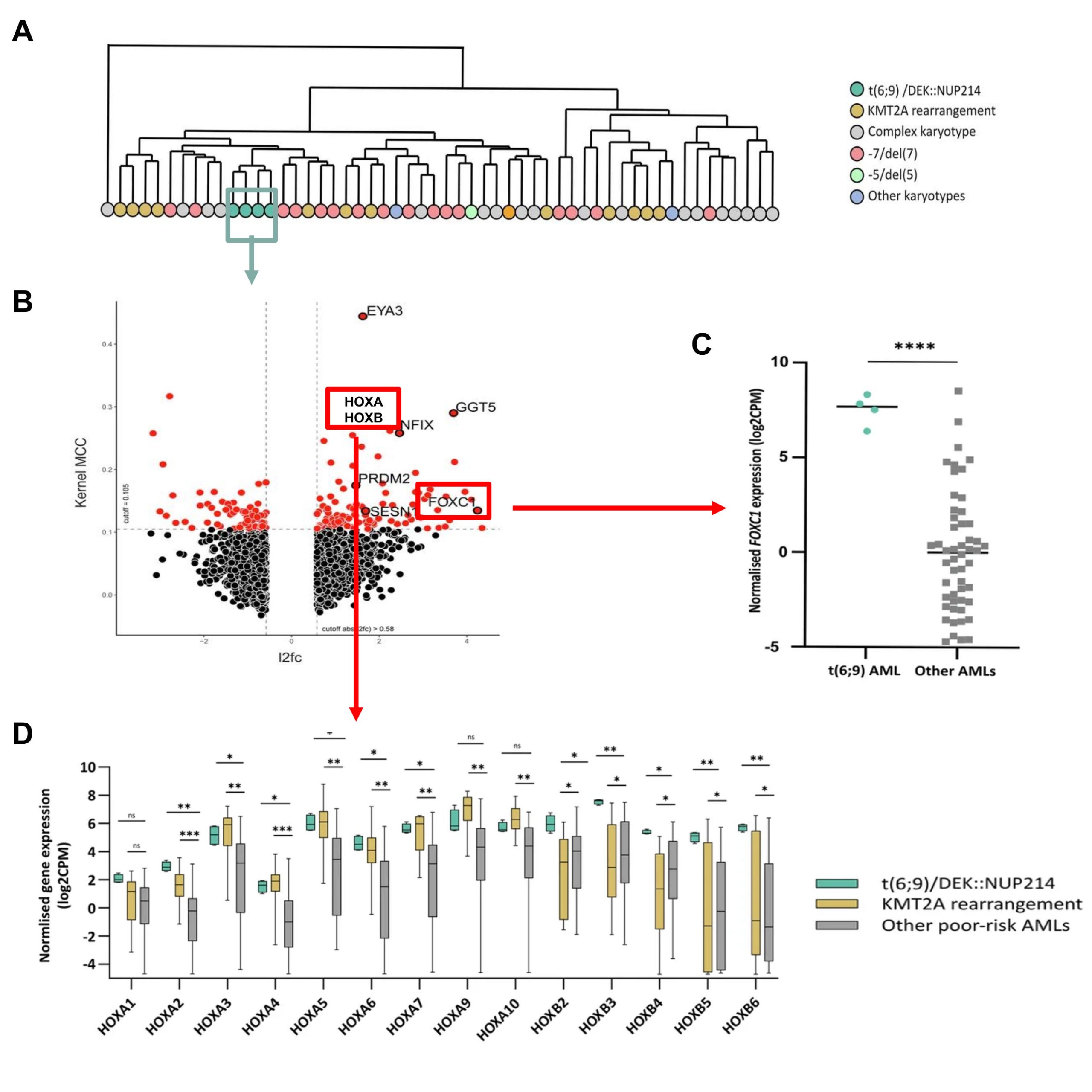 transcriptional