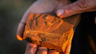 Unusual red rocks in McGraths Flat are rewriting the rules on exceptional fossil sites