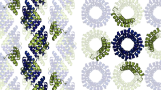 Grand Designs at the molecular scale: building custom protein crystals