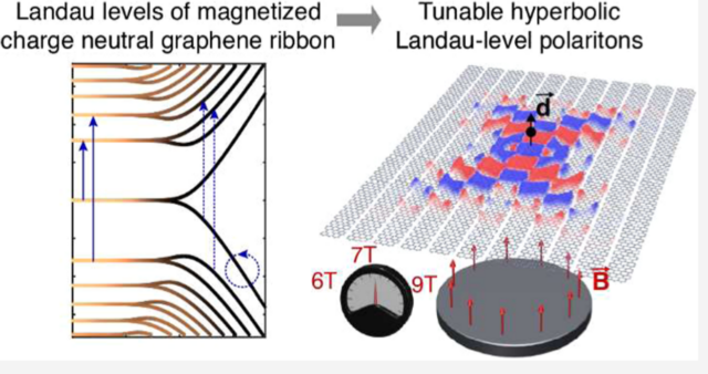 Tunable hyperbolic magnetoexciton polaritons in neutral graphene