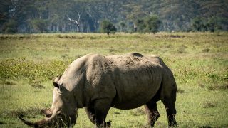 Does the world exist? A critique of Markus Gabriel’s metaphysics (1)