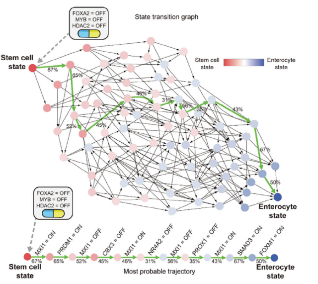 Turning malignancy into normalcy: A computational path to cancer cell reversion