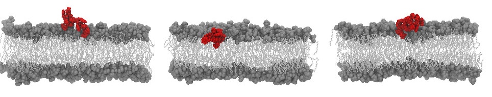 Antimicrobial peptides