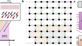 First 2D discrete time crystal on a quantum computer