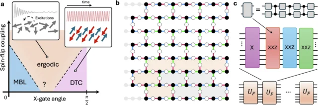 First 2D discrete time crystal on a quantum computer