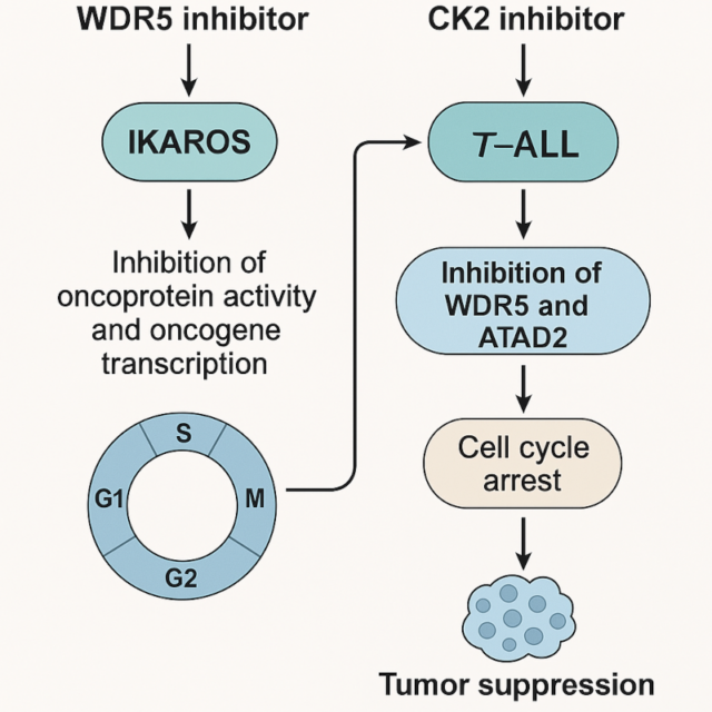 Targeting WDR5/ATAD2 signaling by the CK2/IKAROS axis demonstrates therapeutic efficacy in T-ALL