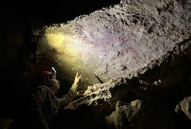 Humanity’s oldest known cave art has been discovered in Sulawesi