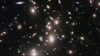 How DESI’s star-forming galaxies map the cosmic web