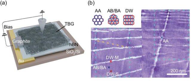 How strain shapes the quantum properties of twisted graphene