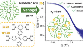 Molecular origami: Crafting ultrasmall nanogels through intramolecular architecture