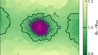 STRAWBERRY fields, where dark matter haloes truly end