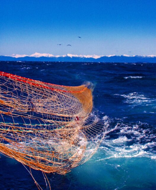 Bottom trawling is scraping oceans of wildlife