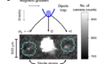 Accurate counting of atoms in a TMSV state
