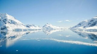 The giant viruses that orchestrate life in the polar regions