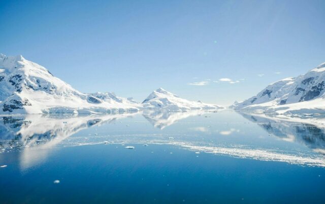 The giant viruses that orchestrate life in the polar regions