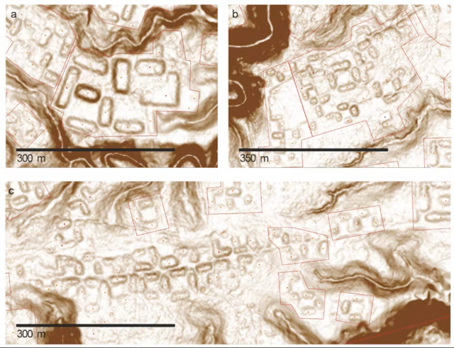 An ancient Amazonian world revealed from the sky