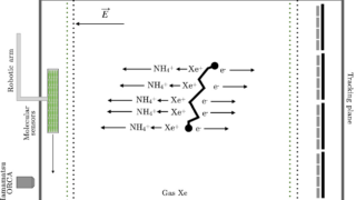 The Particle Odyssey: ITACA and the quest for neutrinoless double beta decay