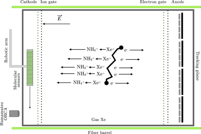 The Particle Odyssey: ITACA and the quest for neutrinoless double beta decay