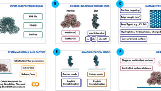 Overcoming bottlenecks in bio-interface simulations: The MartiniSurf Approach