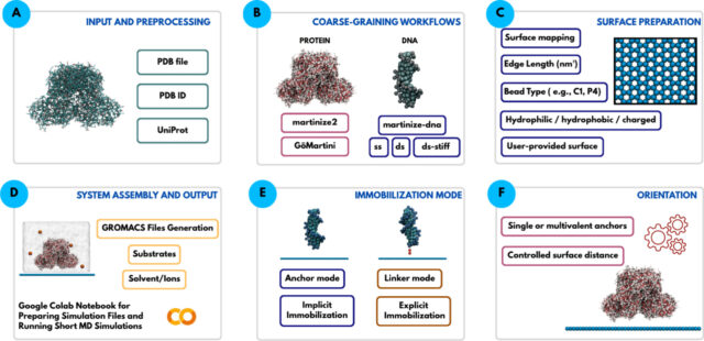 Overcoming bottlenecks in bio-interface simulations: The MartiniSurf Approach