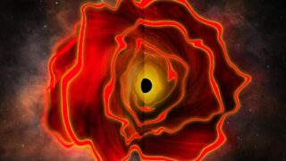 A black hole star