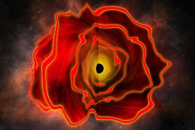 A black hole star