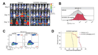 Epigenetic reactivation of a tumor suppressor program in AML
