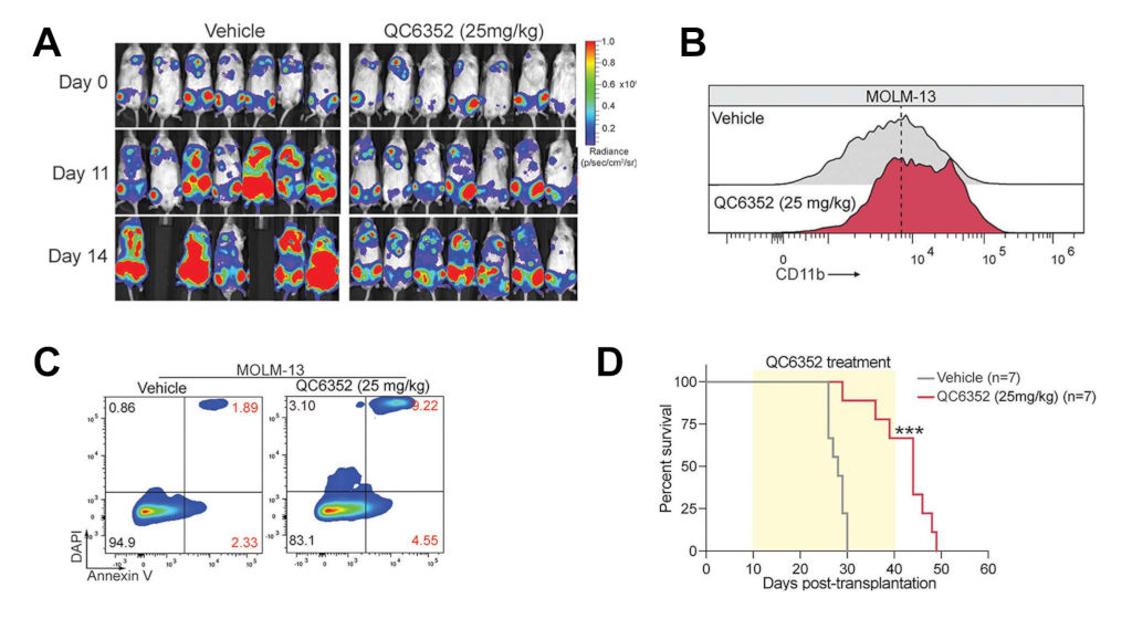 tumor suppressor