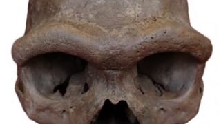 Were Denisovans tall compared to other ancient humans?