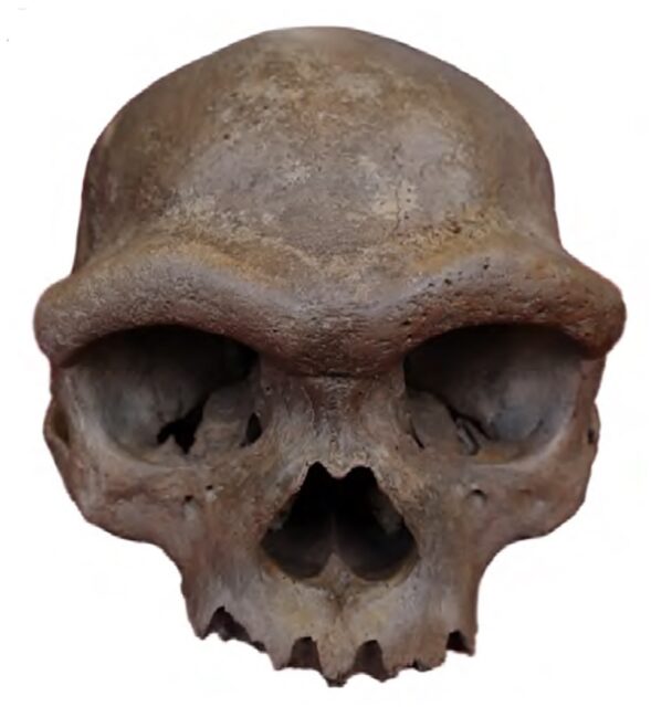 Were Denisovans tall compared to other ancient humans?