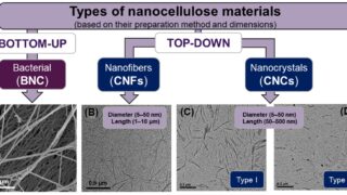 Nanocellulose: from the most abundant biopolymer to next-generation sustainable materials