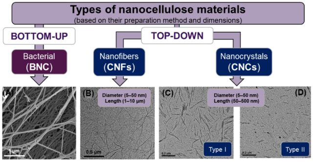 Nanocellulose:
