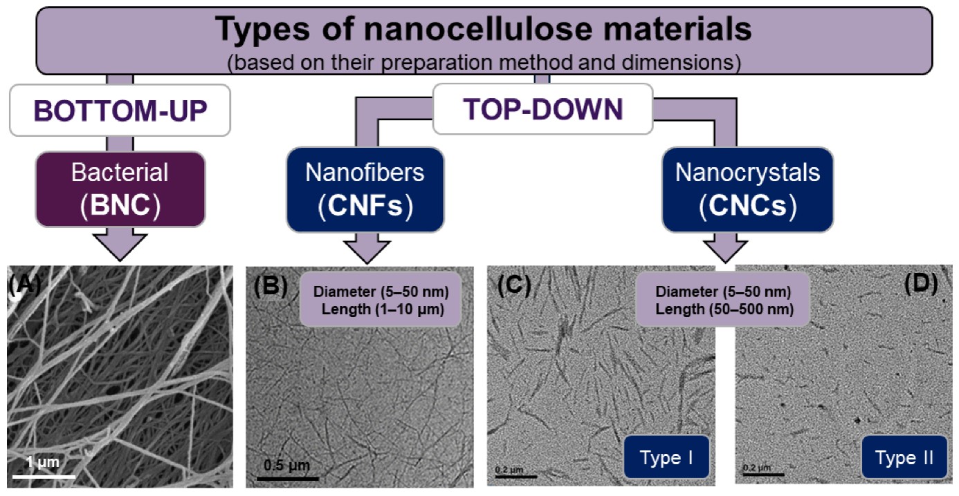 Nanocellulose