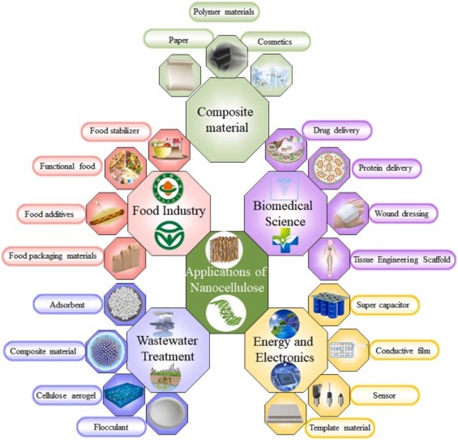 Nanocellulose