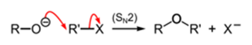 H₂O