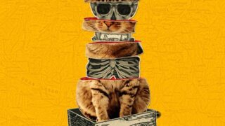 What kills Schrödinger’s cat?