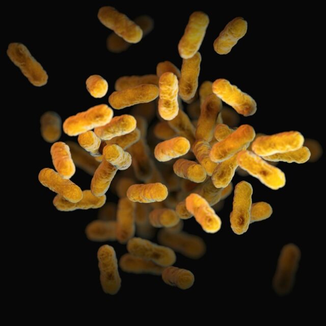Turning cheese whey into value: a sustainable substrate for probiotic biomass production